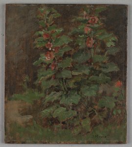 Flores de Hugh Newell